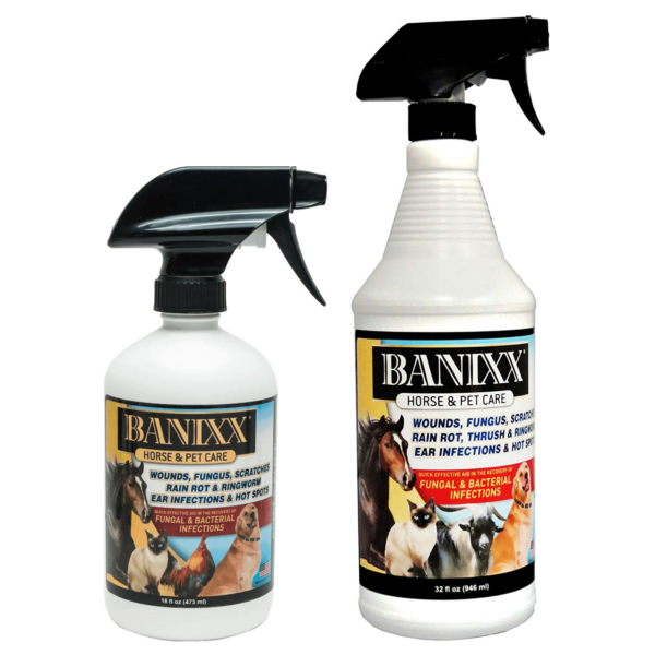 banixx spray group