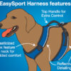 easysport_harness_diagram