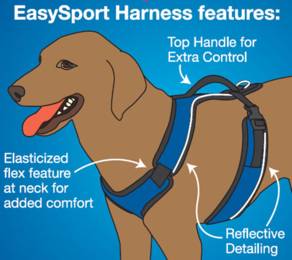 EasySport Harness SLS Inc.