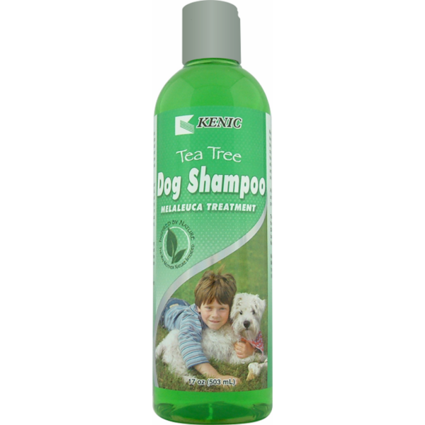 tee-tree-shampoo