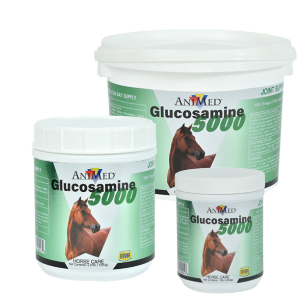 Glucosamine 5000 gr
