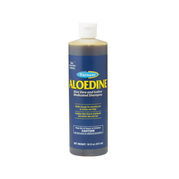 Aloedine Shampoo
