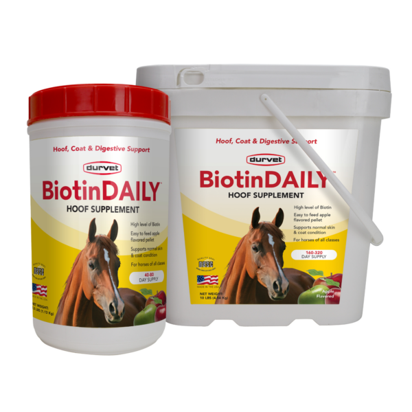 Biotin Daily gr
