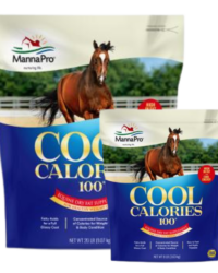 Cool Calories 100
