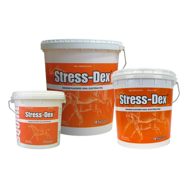 Stress Dex group