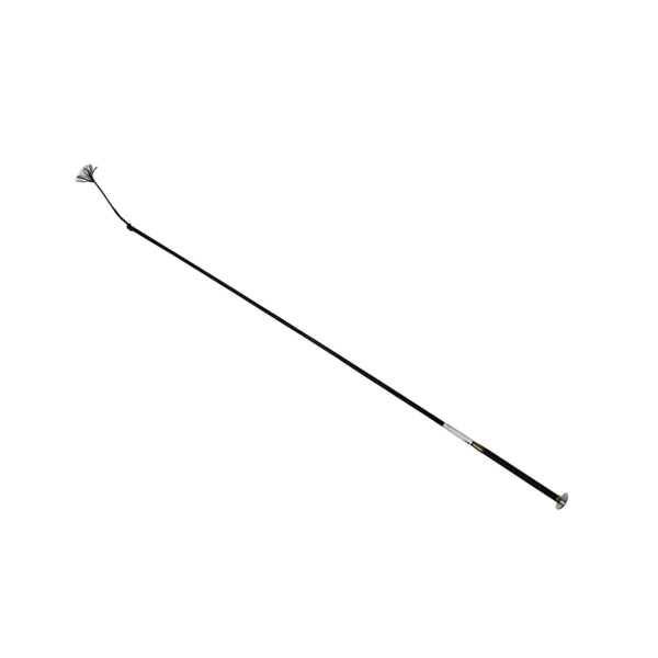 DRESSAGEWHIP