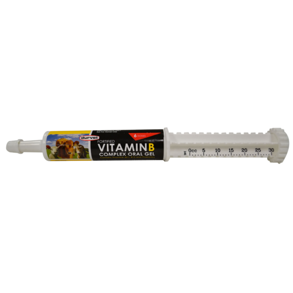 Vitamin-B-Complex-Oral-Gel_30mL_001-0270