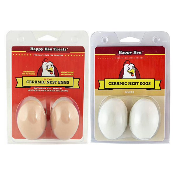 ceramic eggs group