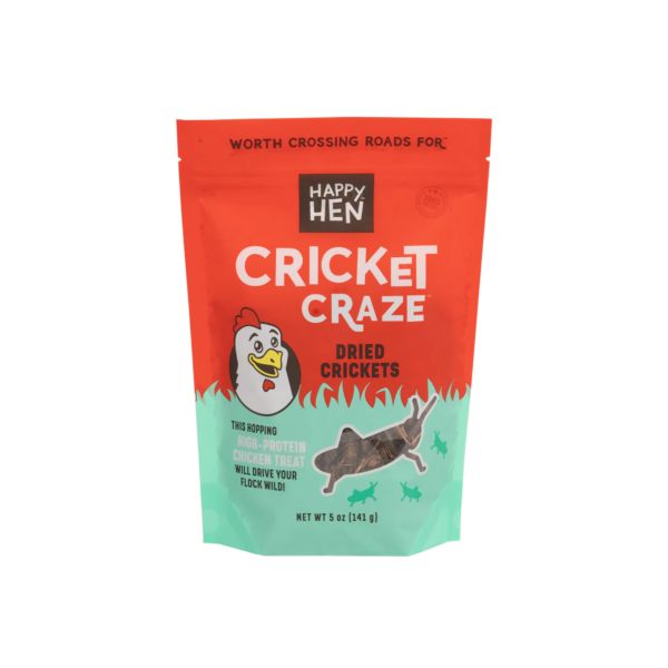 cricket craze