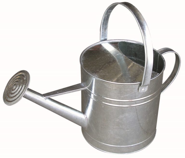 Galvanized Watering Can SLS Inc.