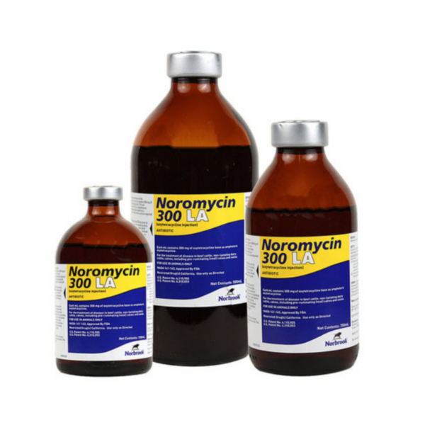 Noromycin group