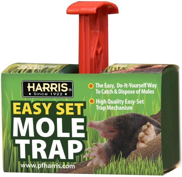 East set mole trap