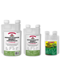 Indoor/Outdoor Pest Control