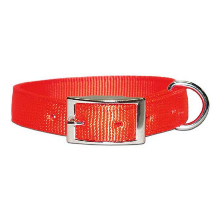 Hunter Orange Collar SLS Inc.