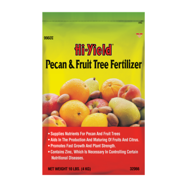 pecan fruit tree