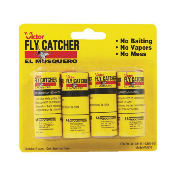 fly catcher