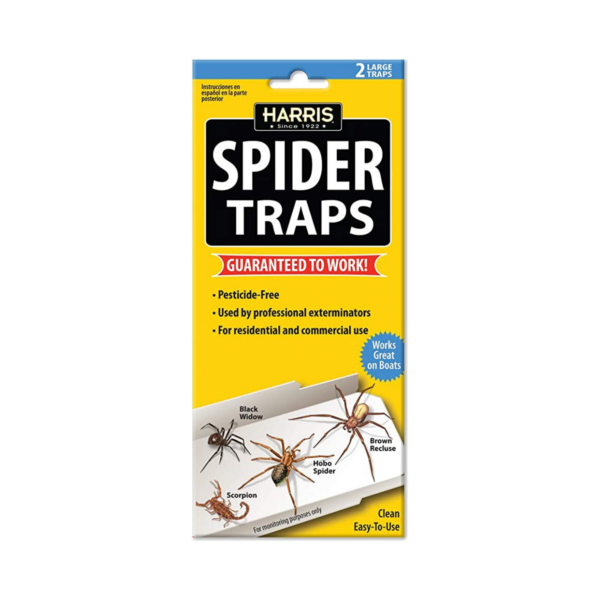 Spider Traps