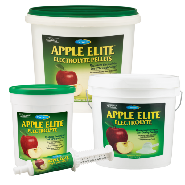 apple elite group