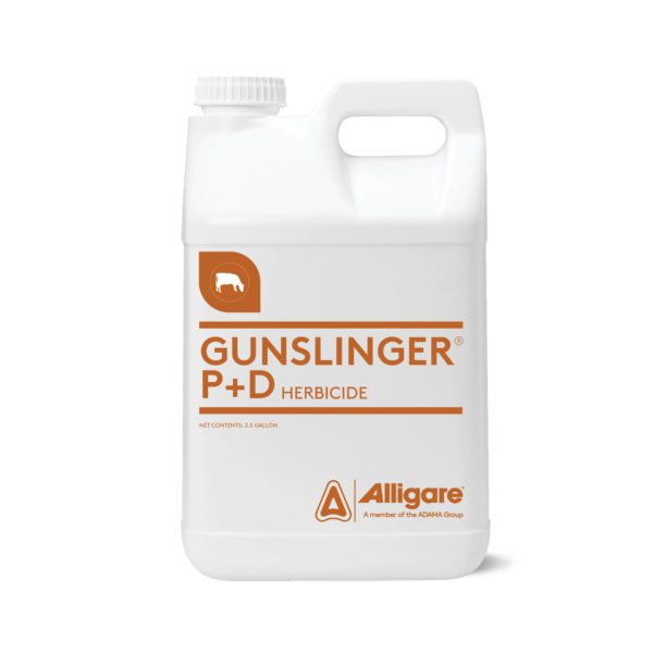 Gunslinger P + D