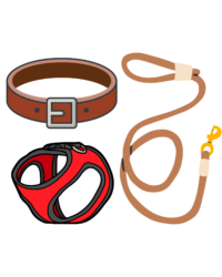 Collars, Leashes, Harnesses