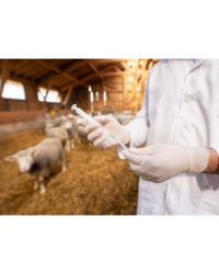 Sheep & Goat Vaccines