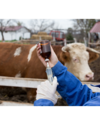 Cattle Antibiotics