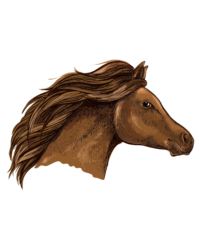 Horse Hair Detangler