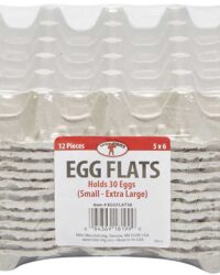 Egg Flats - 30 Egg