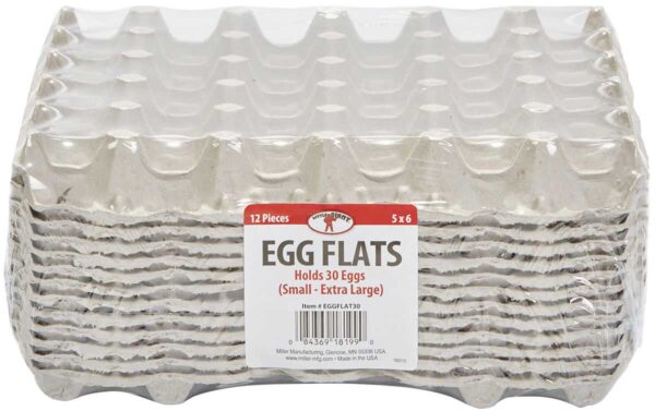 Egg Flats