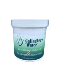 Gallagher's Water W/ Elec 1#