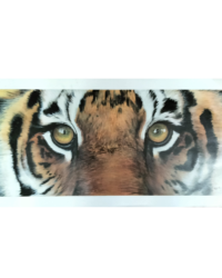 Tiger Prints