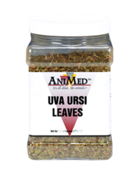 Uva Ursi Leaves 1#