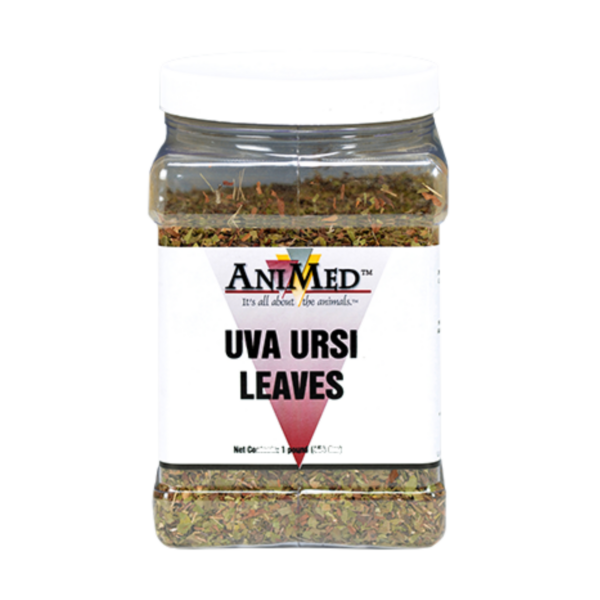 uva ursi leaves