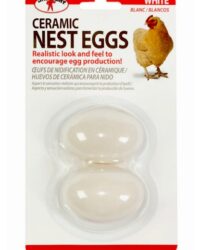 White Ceramic Nest Eggs 2pk
