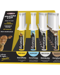 Healthy Calf Display 24pc