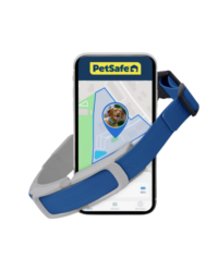 PetSafe Guardian GPS + Tracking Wireless Fence Dog Collar, Grey/Blue